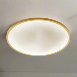 CGC Interiors Cgc Tula Gold Trim Led Surface Mount Ceiling Light Bulkhead Ip44 White Opal 4000K - thumbnail 1