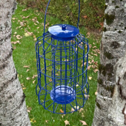 Selections Squirrel Proof Hanging Suet Fatball Bird Feeder (Set Of 2) - thumbnail 2