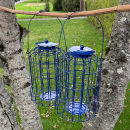 Selections Squirrel Proof Hanging Suet Fatball Bird Feeder (Set Of 2)
