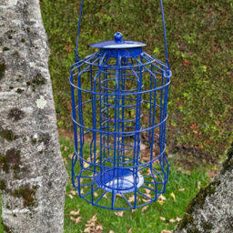 Selections Squirrel Proof Hanging Suet Fatball Bird Feeder (Set Of 2) - thumbnail 3