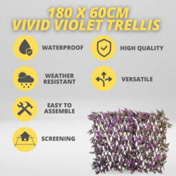 Marco Paul 180 X 60Cm Vivid Violet Trellis  Decorative Garden Screening - thumbnail 3