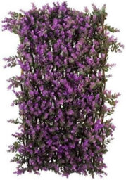 Marco Paul 180 X 60Cm Vivid Violet Trellis  Decorative Garden Screening - thumbnail 1