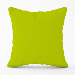 Warren Reed Designer Lime Outdoor Cushion 45Cm X 45Cm - thumbnail 1