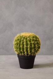 Orsina Fiori Artificial Cactus In Plastic Pot, Desert-Inspired Faux Plant For Windowsill Or Tabletop - thumbnail 3
