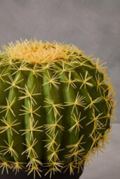 Orsina Fiori Artificial Cactus In Plastic Pot, Desert-Inspired Faux Plant For Windowsill Or Tabletop - thumbnail 4