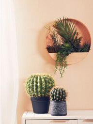 Orsina Fiori Artificial Cactus In Plastic Pot, Desert-Inspired Faux Plant For Windowsill Or Tabletop - thumbnail 8