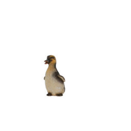 Terrastyle White, Yellow, Black Resin Forward Facing Duckling Garden Ornament (H)14.8Cm (W)7.5Cm