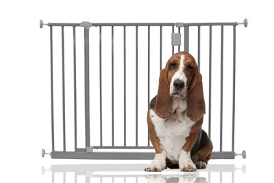 Bettacare Extra Wide Hallway Dog Gate, 103Cm - 109Cm, Grey, Pressure Fit Pet Gate, Puppy Safety Barrier - image 1