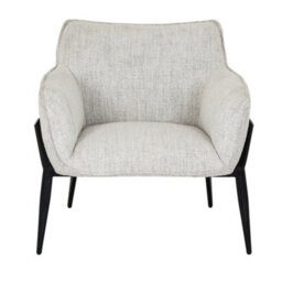 Hill Interiors Zephra Upholstered Occasional Armchair - thumbnail 3