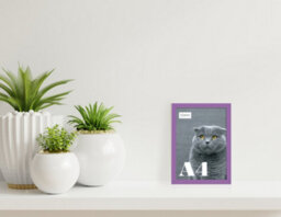 A4 Purple Picture Frame Fits A4 (21 X 29.7Cm - 8.3 X 11.7In) Poster, Photo, Artwork, Or Print. - thumbnail 4