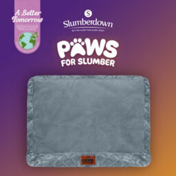 Slumberdown Medium Dog Bed Zipped Removable & Washable Microfleece Velour Replacement/spare Cover With Anti Slip Bottom Grey - thumbnail 2
