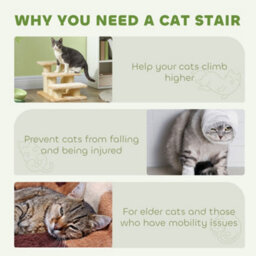 Pawhut Cat Steps 3 Stairs Deluxe Pet Portable Easy Climb Assistance Lightweight - thumbnail 7