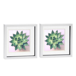 "Nicola Spring 10 X 10"" Photo Frames - White/white Mount - 3D Picture Frame Box Portrait Display Case (53 X 53Cm) Set Of 2" - thumbnail 1