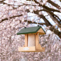 CJ Wildlife National Trust Wooden Alpine Peanut Cake Tube Bird Feeder - thumbnail 2
