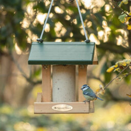 CJ Wildlife National Trust Wooden Alpine Peanut Cake Tube Bird Feeder - thumbnail 3