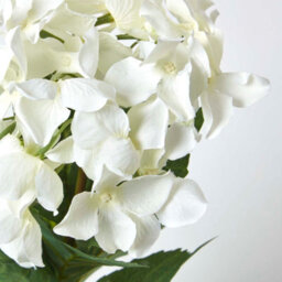 Homescapes Artificial Cream Handcrafted Small Hydrangea Flower In Cream Pot, 38 Cm - thumbnail 5