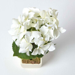 Homescapes Artificial Cream Handcrafted Small Hydrangea Flower In Cream Pot, 38 Cm - thumbnail 3
