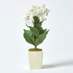 Homescapes Artificial Cream Handcrafted Small Hydrangea Flower In Cream Pot, 38 Cm - thumbnail 2