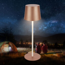 Briloner Coffee Led Table Lamp Rechargeable Light Dimmable Cordless Outdoor Indoor 34.5Cm - thumbnail 2
