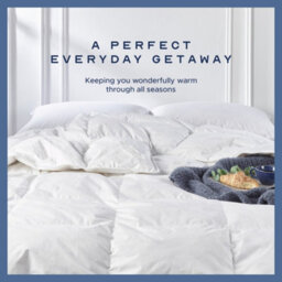 Snuggledown Signature Goose Feather & Down 10.5 Tog Duvet + 2 Medium Support Pillows - thumbnail 2