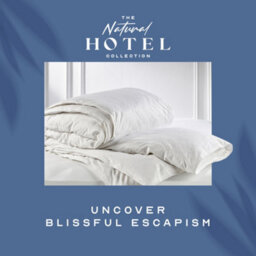 Snuggledown Signature Goose Feather & Down 10.5 Tog Duvet + 2 Medium Support Pillows - thumbnail 9