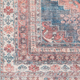 Livabliss Colin-Washable Brown Grey Blue Traditionnal Vintage Boho Living Dining Rug 200 X 275 Cm Easy Care, Non Shedding - thumbnail 7