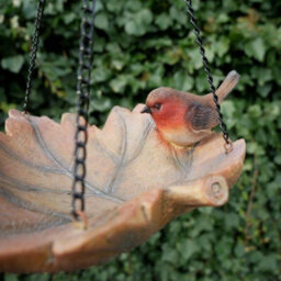 Small Adorable Bird Feeder 'robin' - thumbnail 3