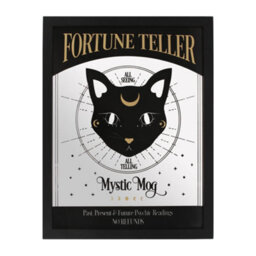 Something Different Mystic Mog Mirrored Wall Hanging - thumbnail 1