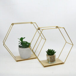 Spot On Dealz Set Of 2 Metal Wired Hexagon Wall Floating Shelves Elegant - thumbnail 1