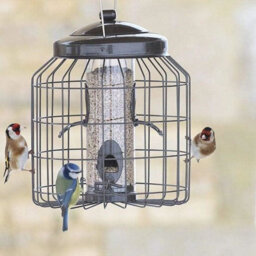 Gardman Heavy Duty Small Bird Seed Feeder - thumbnail 2