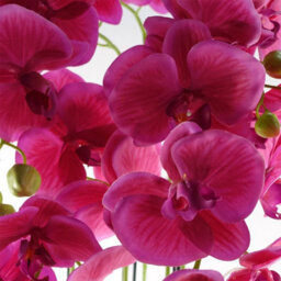 Leaf Large Pink Artificial Orchid Plant Artifcial 41 Real Touch Flowers Botanik - thumbnail 2
