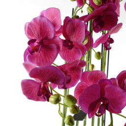 Leaf Large Pink Artificial Orchid Plant Artifcial 41 Real Touch Flowers Botanik - thumbnail 3