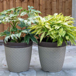 "Fargro Home And Garden Phoebe Planter Tall 14"" - Classic Cream Fusion Effect" - thumbnail 1