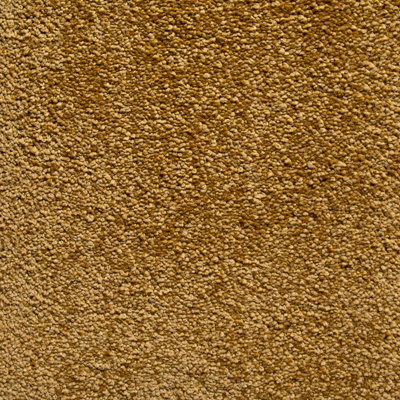 Molto Bella Luxury Deep Pile Carpet By Remland (Grande, 5M X 4M)