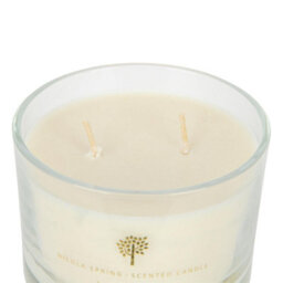 Nicola Spring Soy Wax Scented Candles - 350G - Lemongrass - Pack Of 3 - thumbnail 4