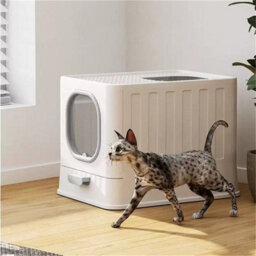 Bingopaw Large Cat Litter Box Open Top Cat Litter Tray,with Scoop,travel Carrier Camping - thumbnail 7