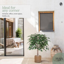 Artificial Plant Ficus Tree, Maia Shop For Home And Office Decoration, 105Cm - thumbnail 6