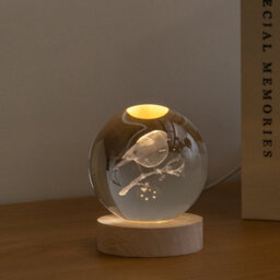 Samuel Alexander 10Cm Usb Powered Light Up Christmas Decoration 3D Robin Glass Globe - thumbnail 3