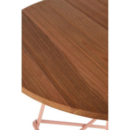 Orsina Pink Metal And Elm Wood Round Table, Versatile Coffee Table For Home And Office, Round Outdoor Dining Table - thumbnail 4