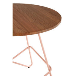 Orsina Pink Metal And Elm Wood Round Table, Versatile Coffee Table For Home And Office, Round Outdoor Dining Table - thumbnail 5