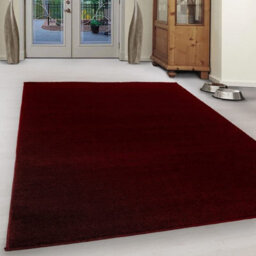 Abaseen 80X150Cm Red Small Large Ata Rug Modern Rugs Rectangular Size Soft Touch 9mm Pile Height Area Rugs Non Shedding - thumbnail 1