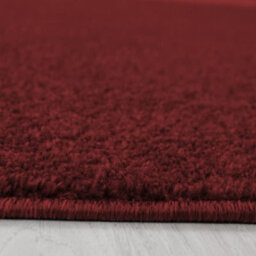 Abaseen 80X150Cm Red Small Large Ata Rug Modern Rugs Rectangular Size Soft Touch 9mm Pile Height Area Rugs Non Shedding - thumbnail 2