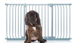Bettacare Elite Pressure Dog Gate, 143Cm - 152Cm, Matt Grey, Pressure Fit Pet Gate For Dog And Puppy - thumbnail 1