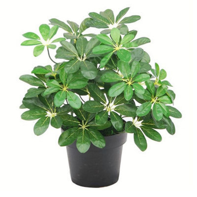 Leaf Artificial Arboricola Plant Umbrella Tree Black Plastic Pot 55Cm Dark Plant Botanik - image 1