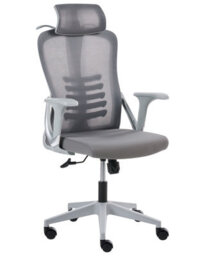 Wyld And Coco Grey Mesh Ergonomic High-Back Office Chair With Adjustable Headrest And Tilting Backrest - thumbnail 3