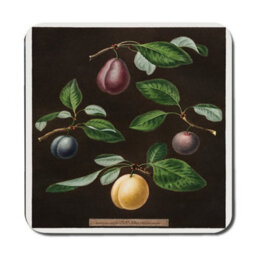 Benjamin Tate Design Botanical Plum Placemat And Coaster Set With Wood Base And High End Print Technology Exclusive Collection - thumbnail 3
