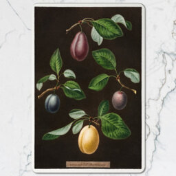 Benjamin Tate Design Botanical Plum Placemat And Coaster Set With Wood Base And High End Print Technology Exclusive Collection - thumbnail 2