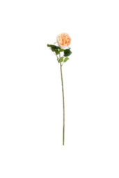 Butter Portland Rose - Realistic Artificial Flower For Decor - thumbnail 2