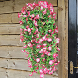 Best Artificial 75Cm Fuchsia & White Morning Glory Trailing Flowers With Rattan Wicker Hanging Baskets For Indoor Or Garden - thumbnail 5