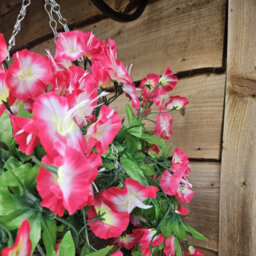 Best Artificial 75Cm Fuchsia & White Morning Glory Trailing Flowers With Rattan Wicker Hanging Baskets For Indoor Or Garden - thumbnail 3
